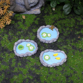 Whlo4U turtle pond ornament brings natural charm to terrariums.