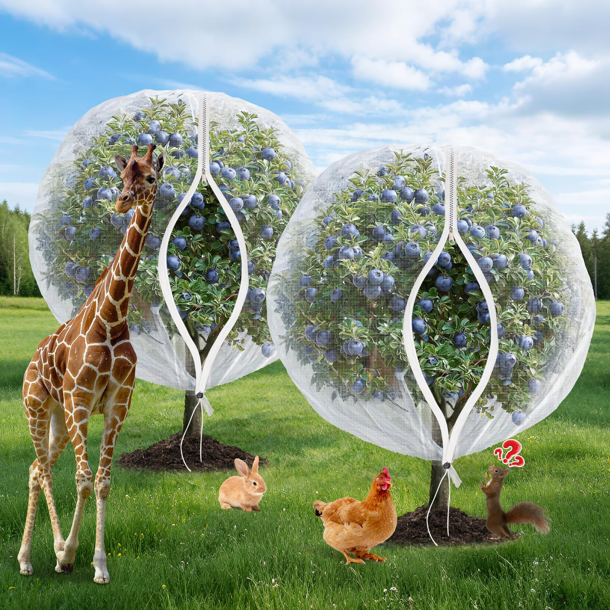 Whmayai fruit tree netting with zipper and drawstring protecting trees