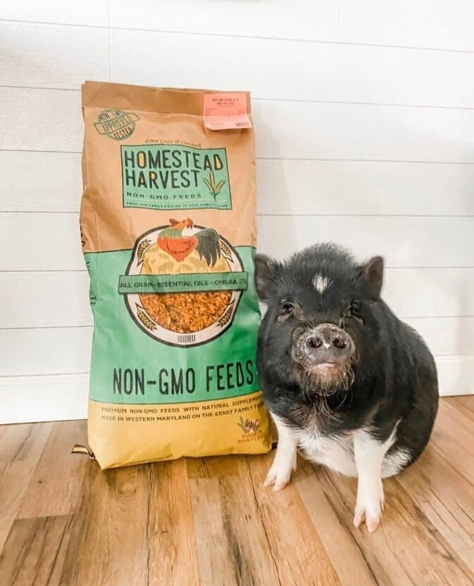 Wholesome Harvest herbs and oils pig feed closeup supports balanced digestion.