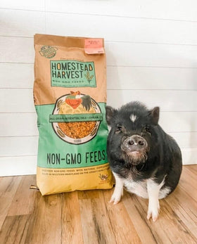 Wholesome Harvest herbs and oils pig feed closeup supports balanced digestion.