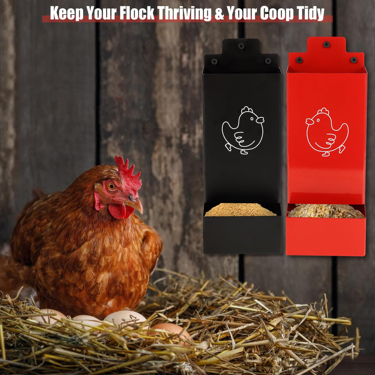 WHXE MNHEE in-coop setup shown with chickens nearby