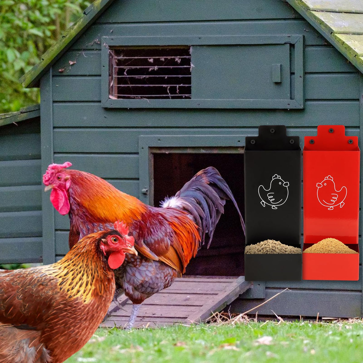 WHXE MNHEE versatile feeder suitable for treats, grit, and supplements