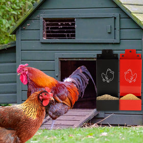 WHXE MNHEE versatile feeder suitable for treats, grit, and supplements