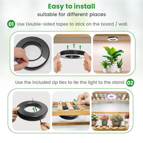 Wiaxulay auto timer helps maintain consistent light cycles.