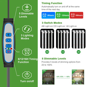 Wiaxulay 6000K white light supports seedling germination and growth