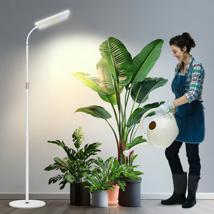 Wiaxulay floor-standing grow light provides broad indoor coverage for healthy greens