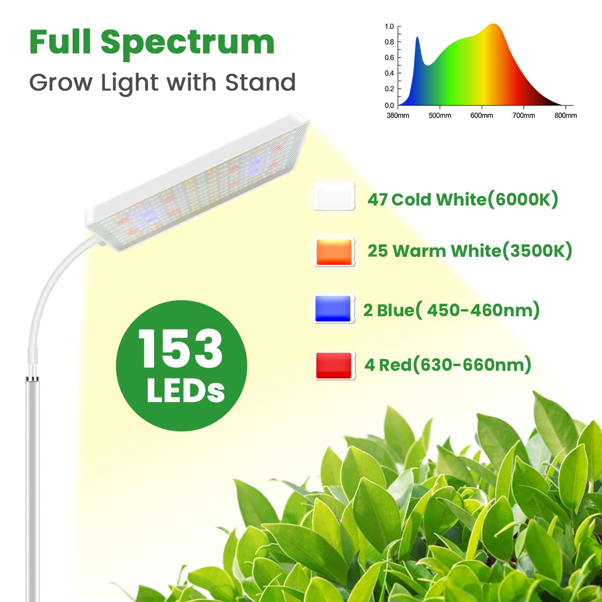 Wiaxulay full-spectrum modes support germination to flowering stages
