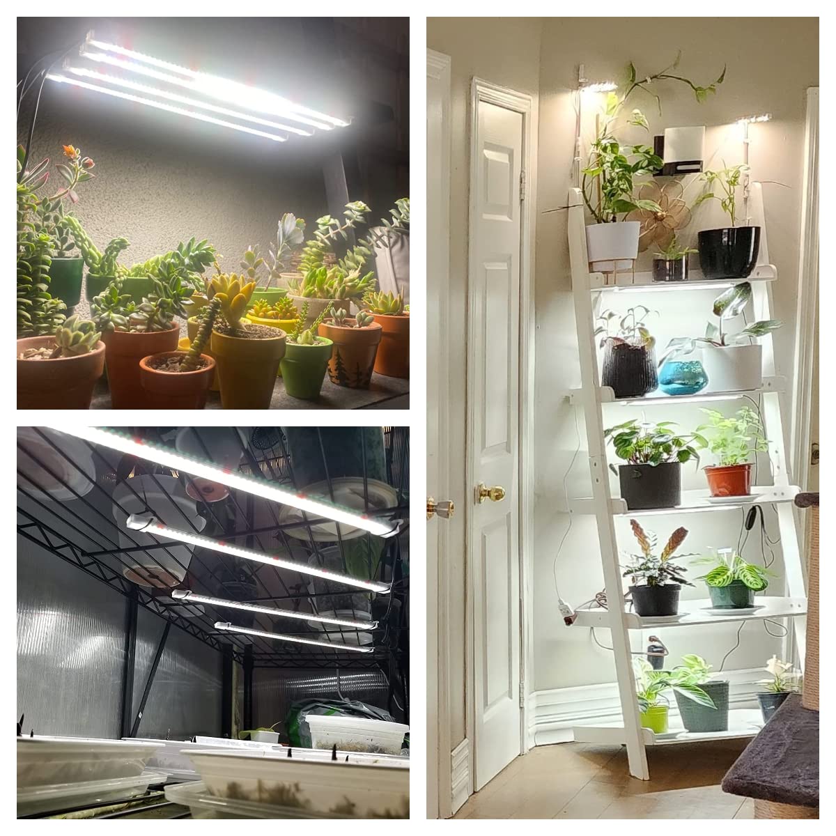 Wiaxulay grow light with auto timer ensures consistent daily lighting