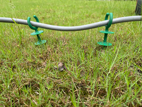 WIBBLESOX protects plants by guiding hose away from delicate roots
