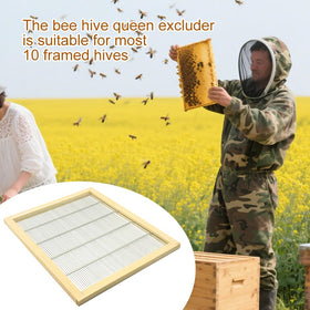 Widiso durable wood frame supports the excluder during routine beekeeping tasks