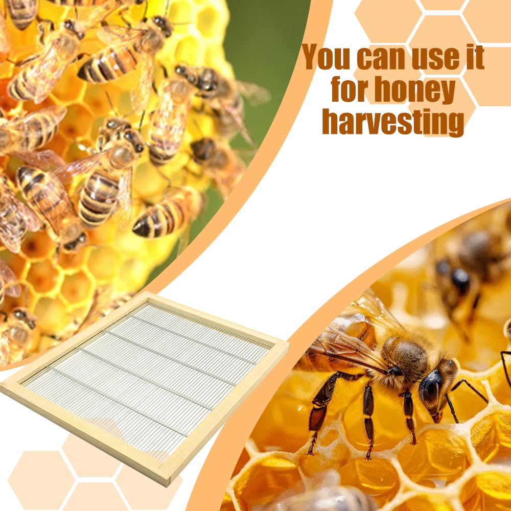 Widiso two-pack beekeeping supplies offering value for brood management and seasonal setups