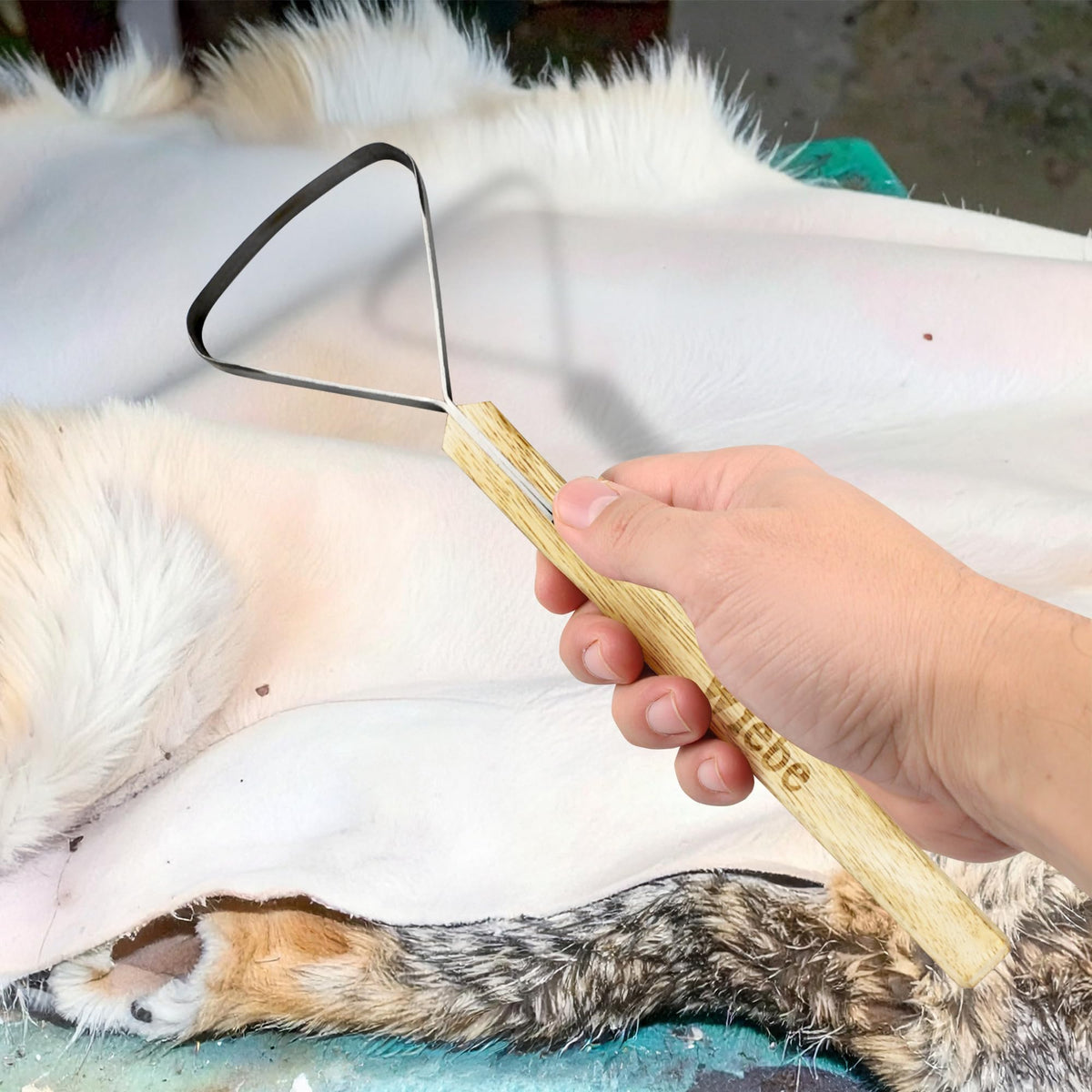 Wiebe Pelt Scraper shows square edge for bulk fat and muscle removal
