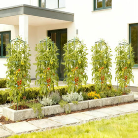 Wikdey 2-pack tomato cages fit pots or beds for organized growth.
