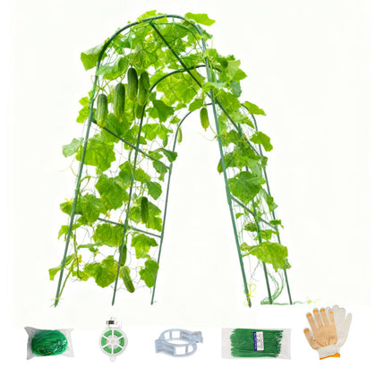 Wikdey cucumber trellis arch in raised bed boosts air circulation and sunlight exposure