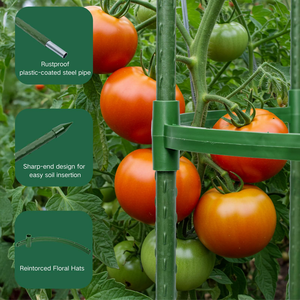 Wikdey heavy-duty steel garden stakes ensure durable plant support in outdoor beds.