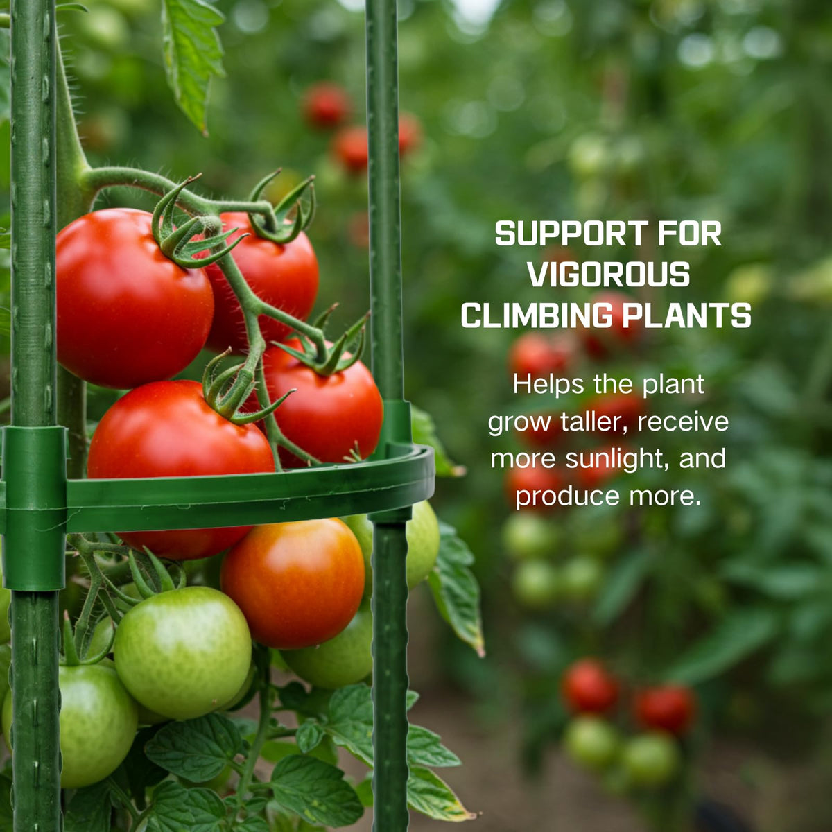 Wikdey outdoor indoor plant support for versatile garden setups.