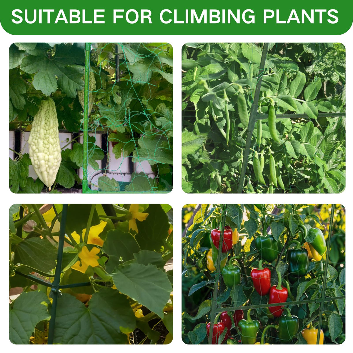 Wikdey plant ties, clips, and twist ties for neat training