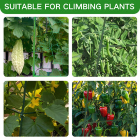 Wikdey plant ties, clips, and twist ties for neat training