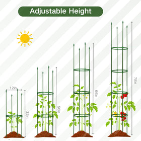Wikdey garden stakes help organize space for vertical growth in gardens.