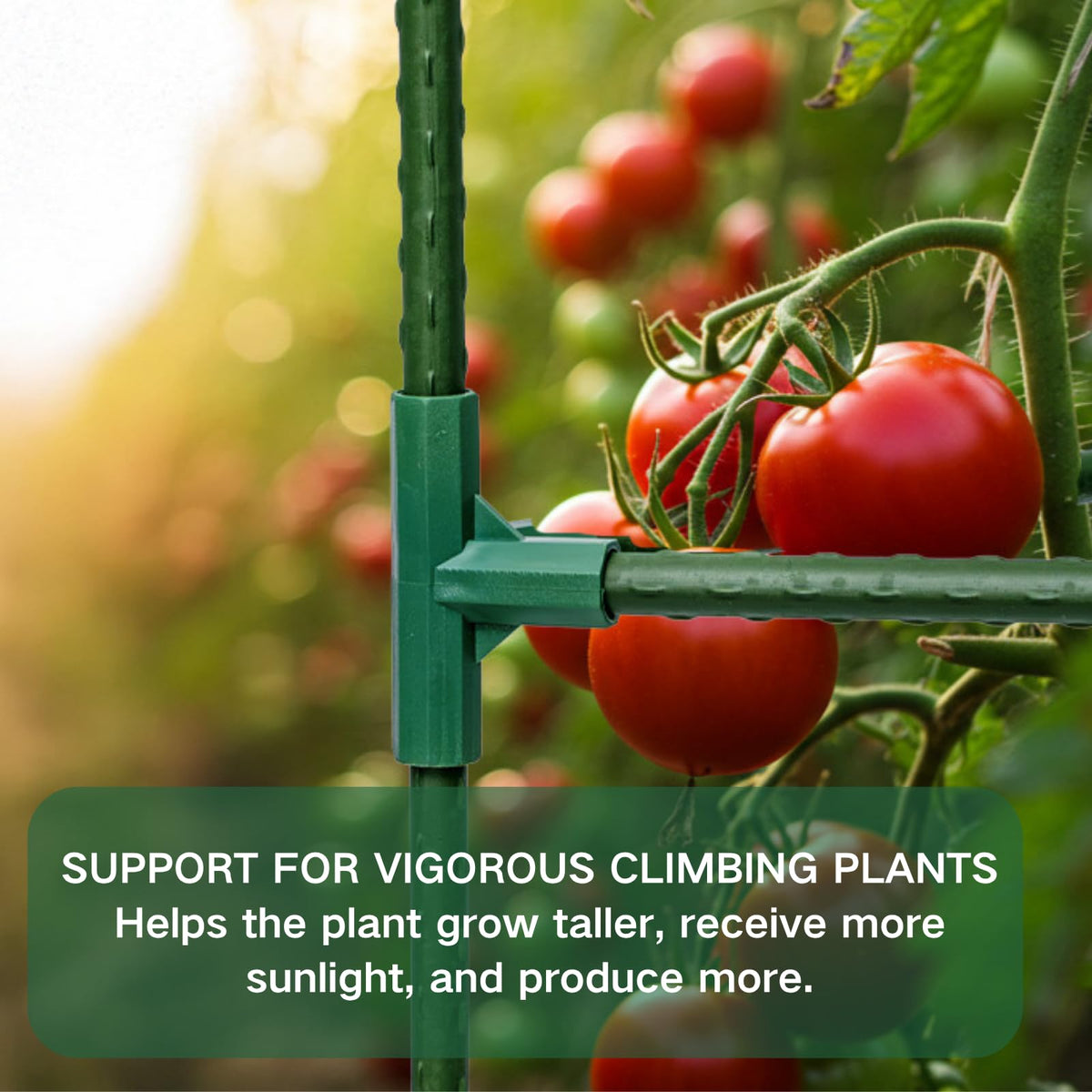 Wikdey sturdy garden stake doubles as a trellis in outdoor beds.
