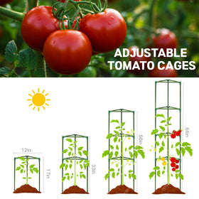 Wikdey tool-free setup makes tomato support quick and easy.