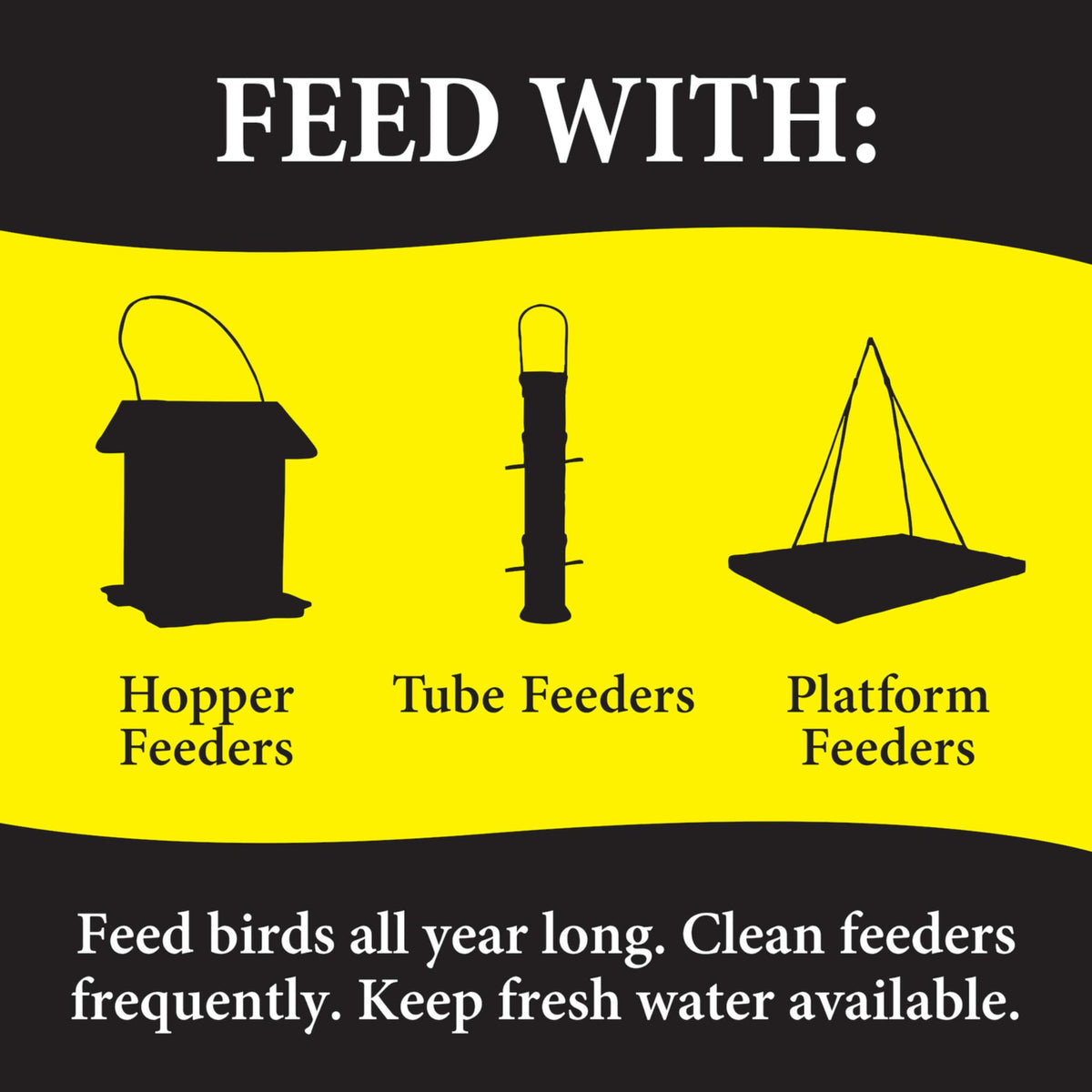Backyard bird feeding action with a premium, dust-free blend from Wild Delight.