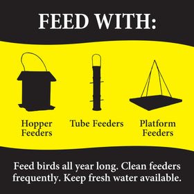 Backyard bird feeding action with a premium, dust-free blend from Wild Delight.