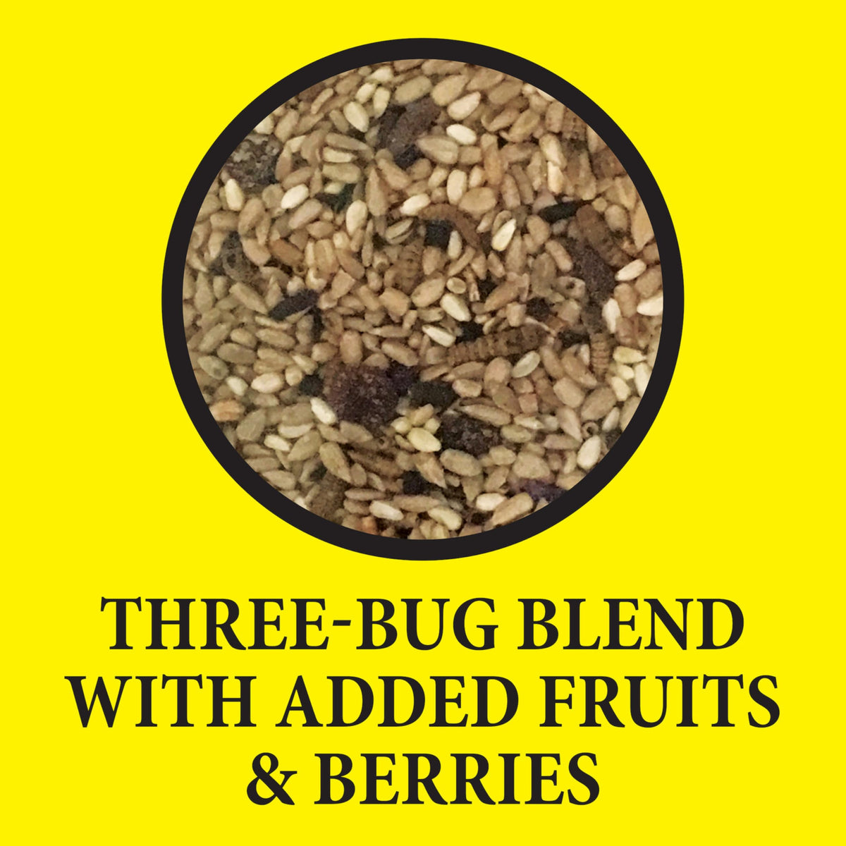 Dried darkling beetles add texture and nutrients for bird diets.