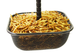 Wildlife Sciences Mealworms Bird Feeder roof-closed detail highlights the built-in hanger for easy mounting.