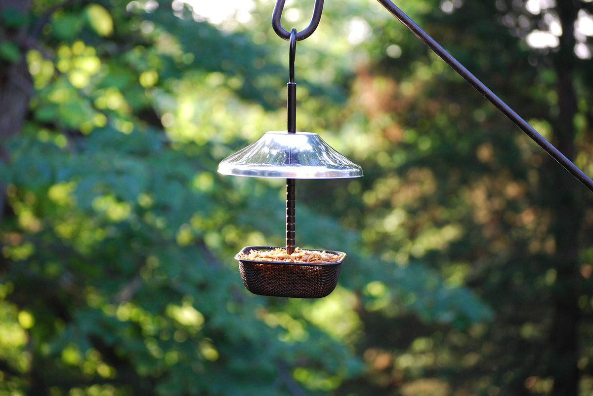 Wildlife Sciences Mealworms Bird Feeder side view features an adjustable roof for rain protection.