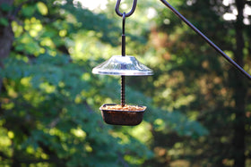 Wildlife Sciences Mealworms Bird Feeder side view features an adjustable roof for rain protection.