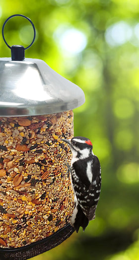 Wildlife Sciences Seed Tower 2-Pack ingredients closeup highlights peanuts, seeds, and cranberries
