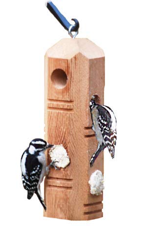 Wildlife Sciences Suet Plugs Woodpecker Blend close-up reveals beef suet and nuts.
