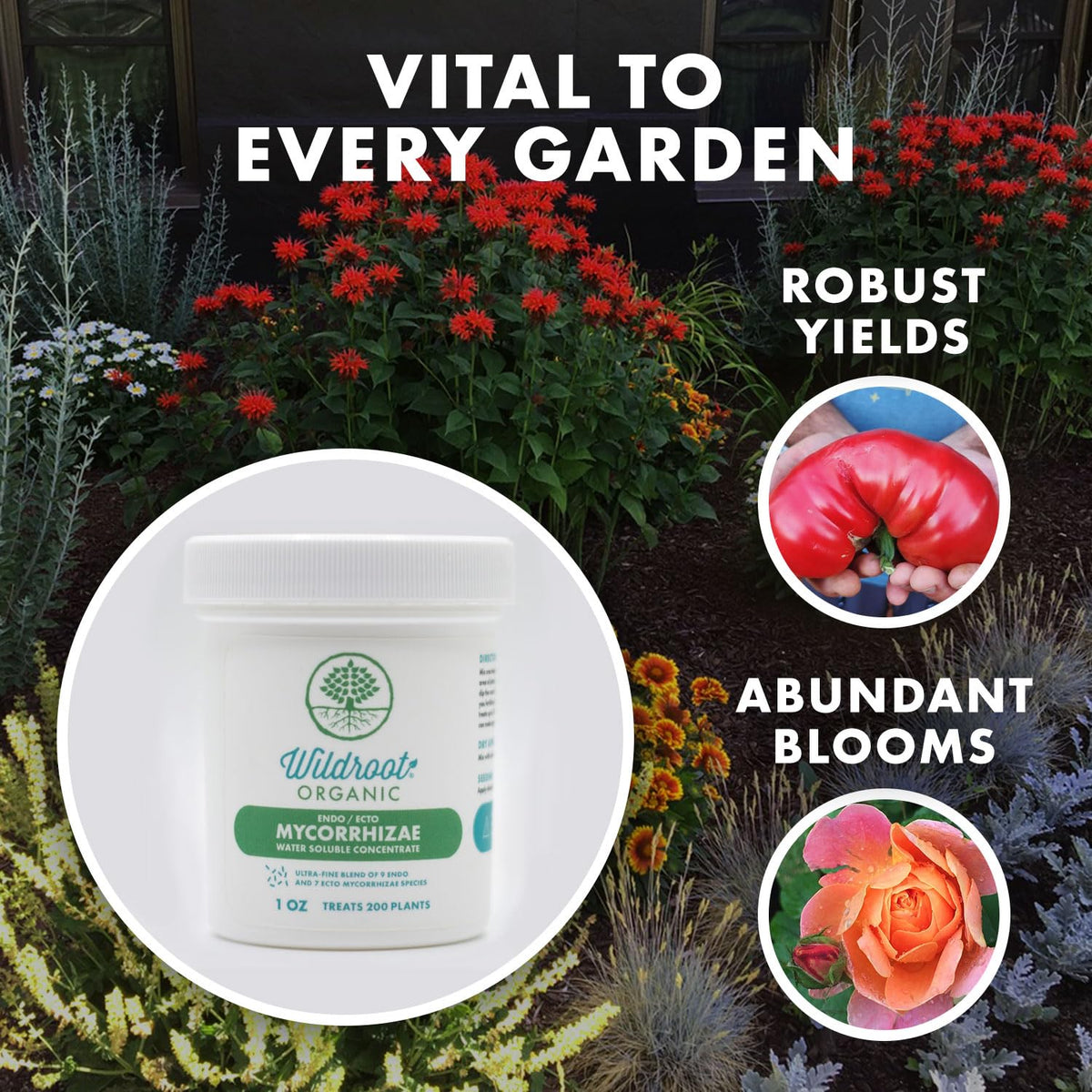 Wildroot Organic NOP-certified label on container for organic trust