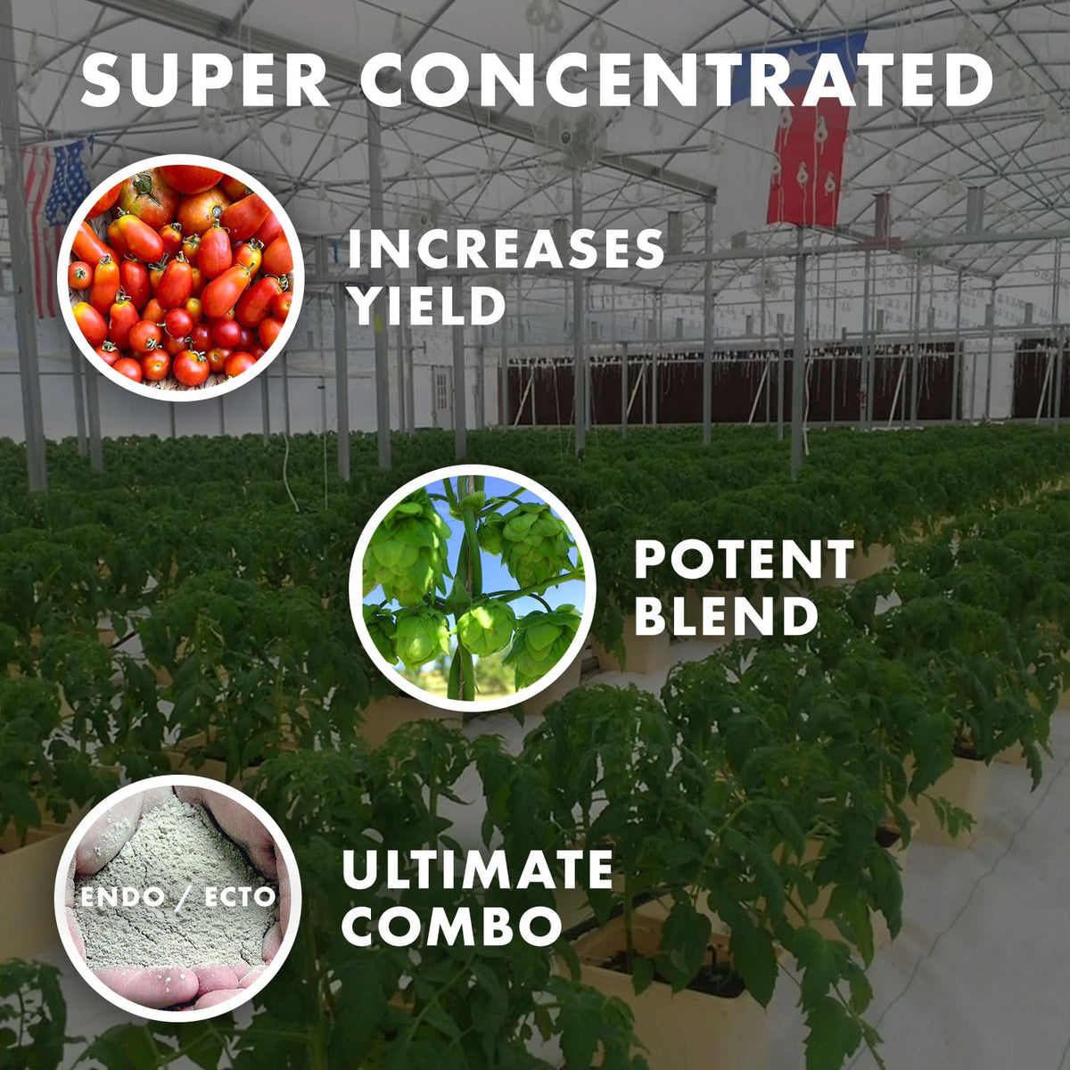 Wildroot Organic inoculant being poured into soil to boost plant vitality