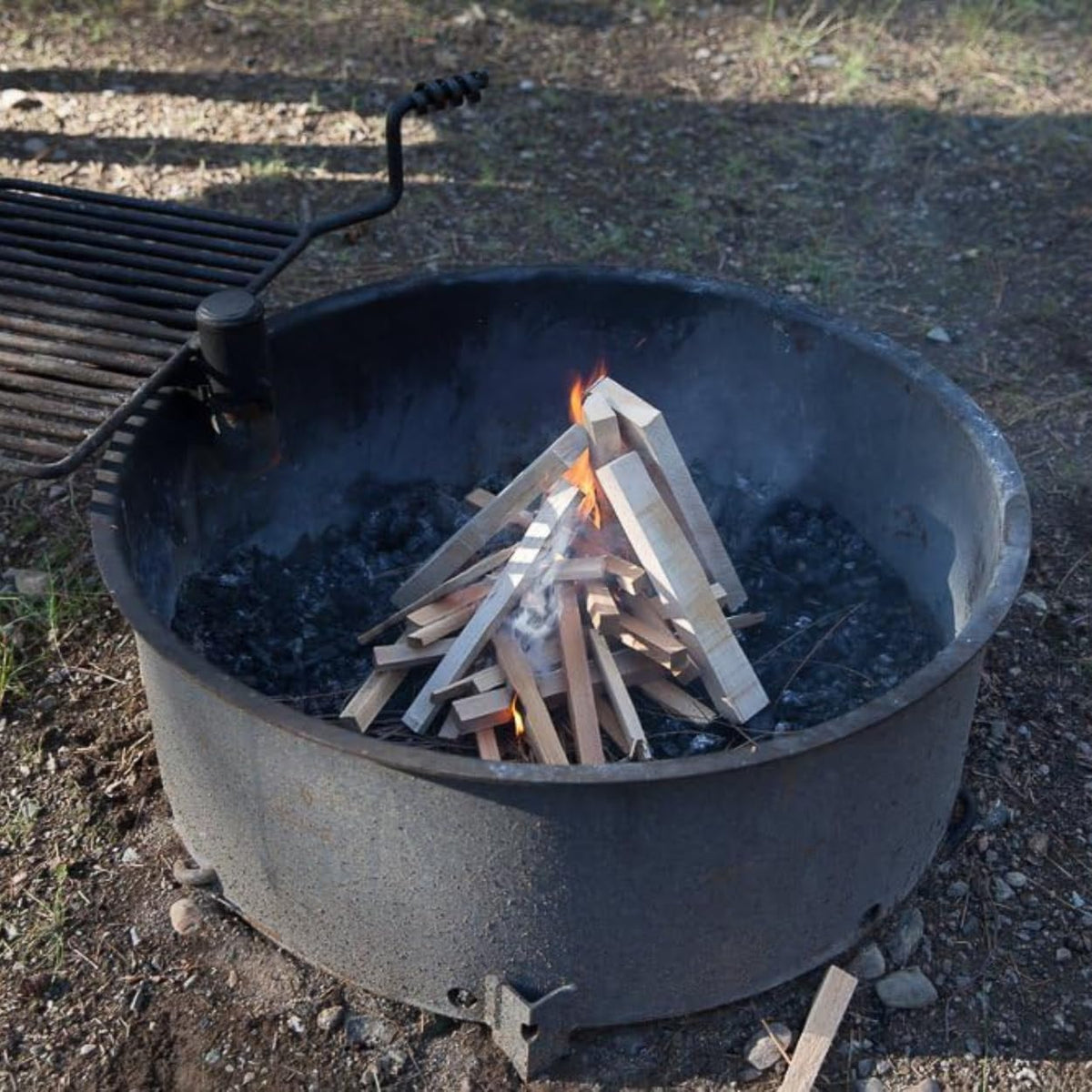 Wildwood Kindling kiln-dried cedar for fast ignition in any setting.