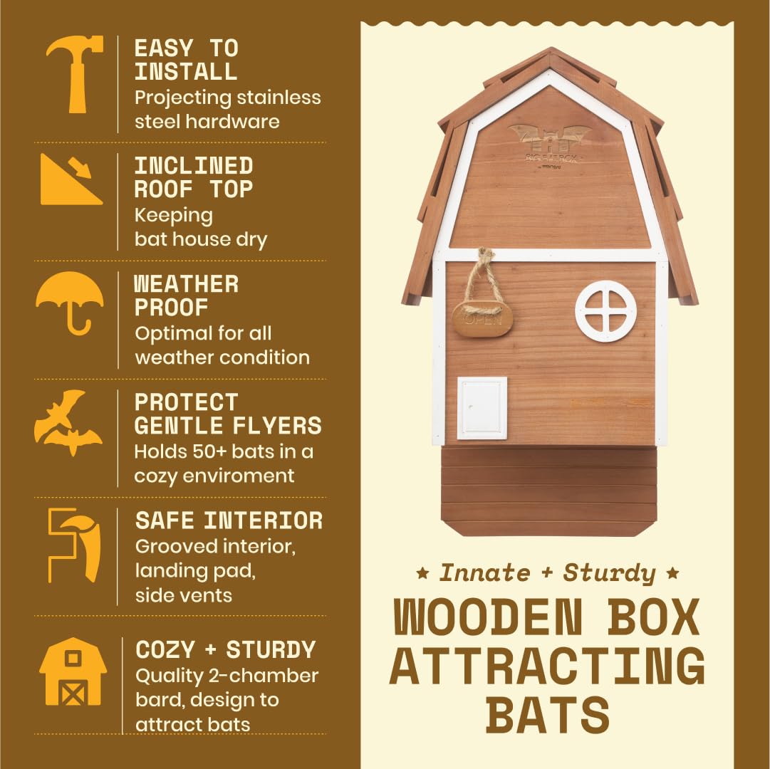 WildYard Bat Barn Junior interior view showing two chambers for colonies.