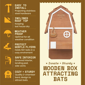 WildYard Bat Barn Junior interior view showing two chambers for colonies.