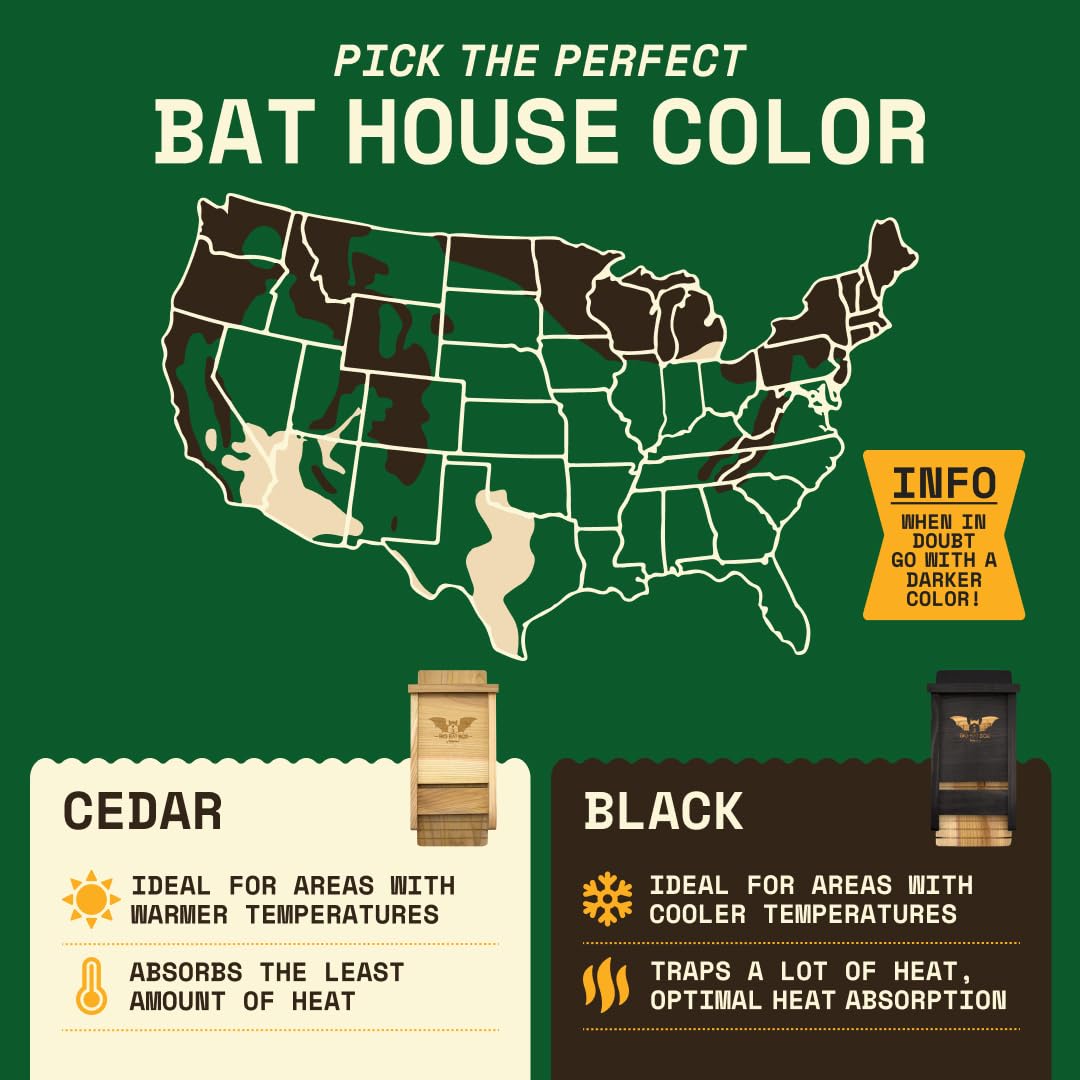 WildYard bats roosting inside the box to illustrate habitat