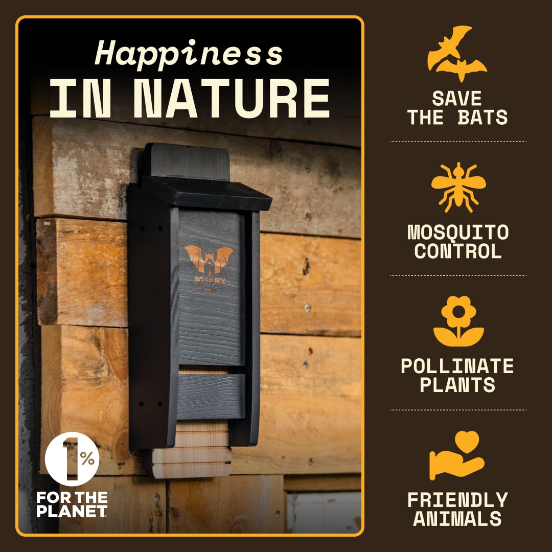 WildYard bat box mounted on a tree for backyard wildlife installation
