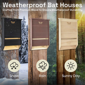 WildYard cedar-construction bat house highlights durable materials