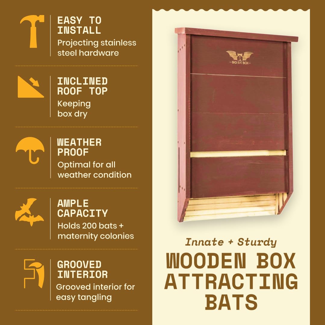 WildYard bat box mounted on pole with stainless hardware for versatile setup