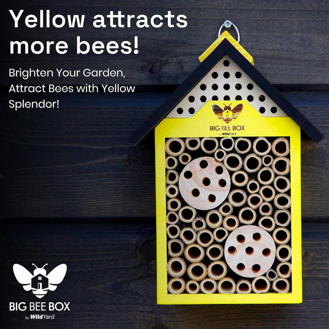 WildYard Bee House sunlit garden setup for easy integration and pollinator support.