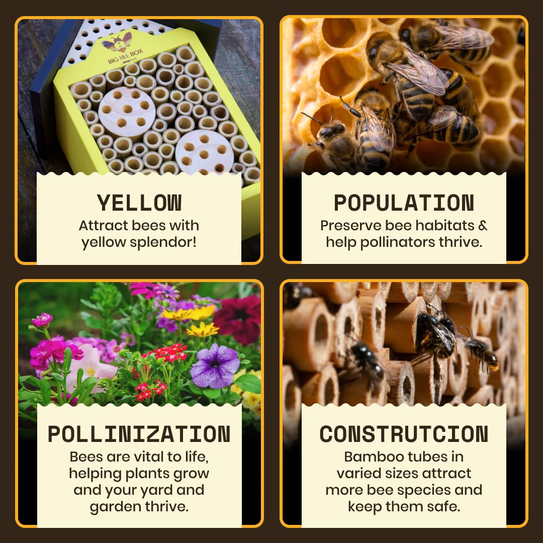 WildYard Bee House weather-resistant wood protects bees year-round in any climate.