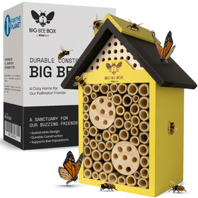 WildYard Bee House front view with bright yellow finish enhances garden pollinator habitat.