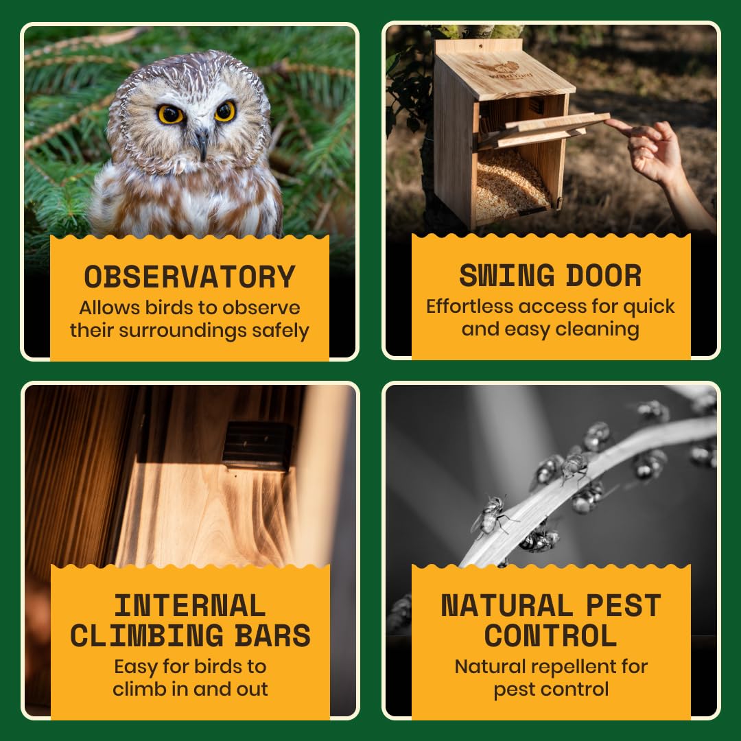 WildYard weather-ready cedar box for enduring outdoor shelter.
