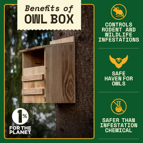 WildYard Owl Box side view highlighting durable cedar construction and weather resistance.
