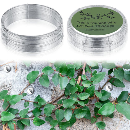 WILLBOND 350-feet plant trellis wire in two rolls for climbing plants.