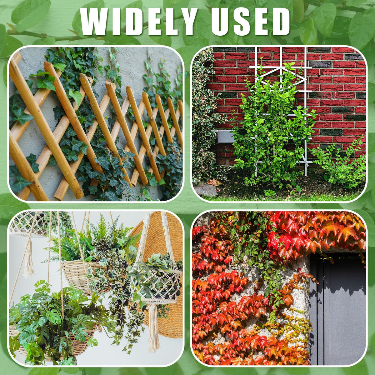 WILLBOND easy-to-bend trellis wire enables quick shaping around climbing plants.