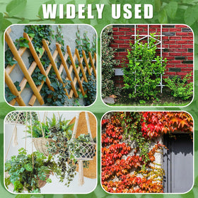 WILLBOND easy-to-bend trellis wire enables quick shaping around climbing plants.
